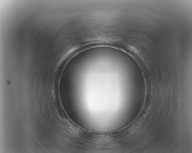 X0000067391307200604071743