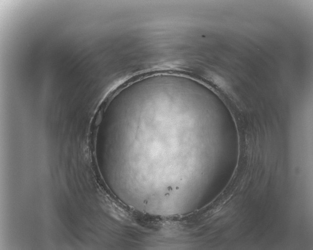 X0000067391308200604071743