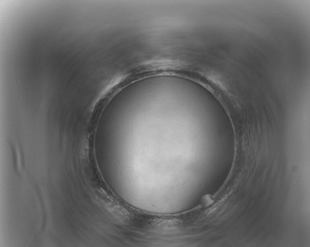 X0000067391309200604071743