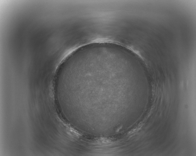 X0000067391311200604071743