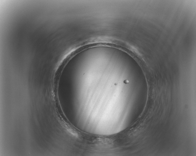 X0000067391312200604071743