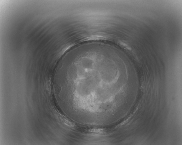 X0000067391313200604071743