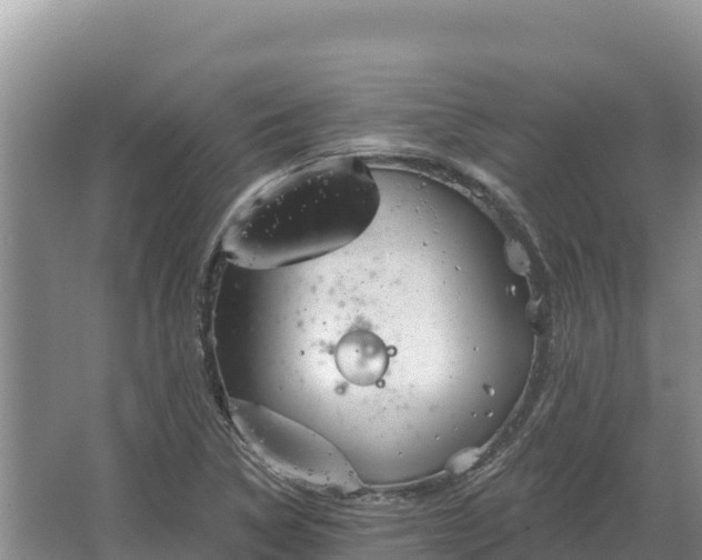 X0000067391314200604071743