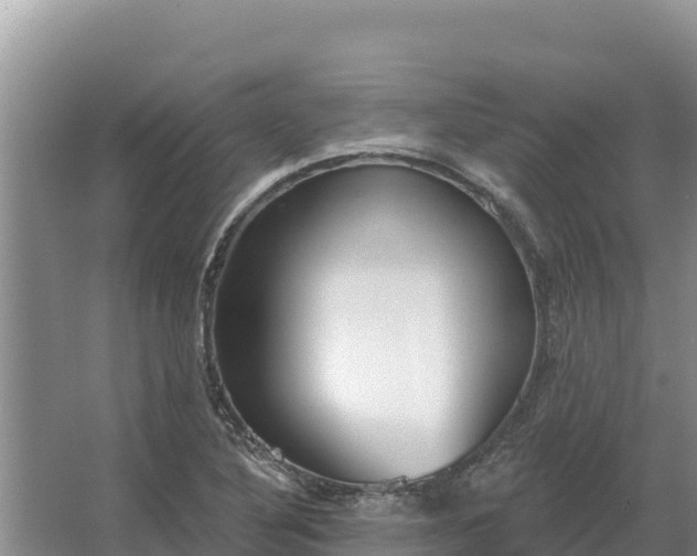 X0000067391316200604071743