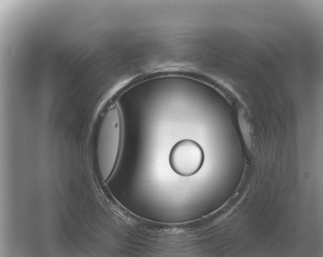 X0000067391317200604071743