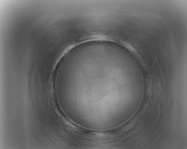 X0000067391318200604071743