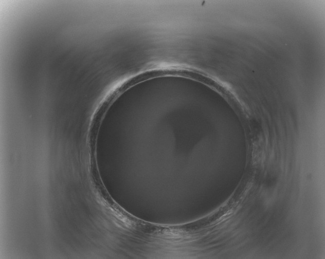 X0000067391319200604071743