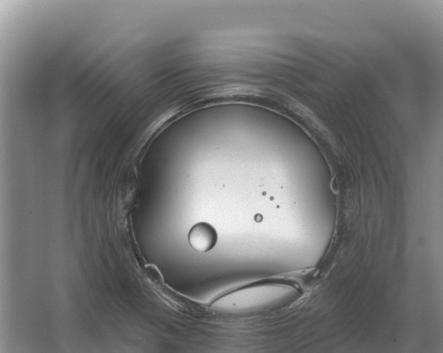 X0000067391321200604071743