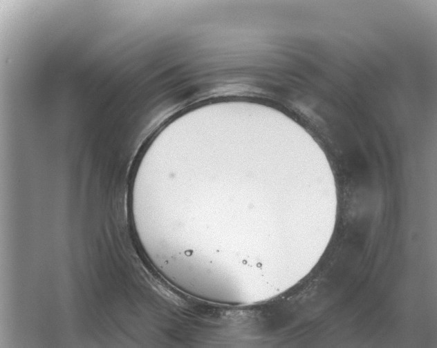 X0000067391322200604071743