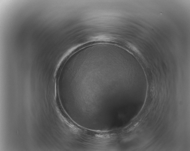 X0000067391323200604071743