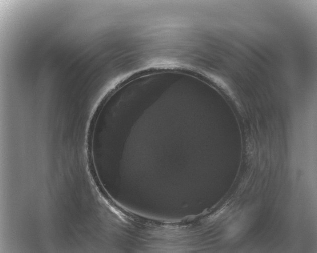 X0000067391327200604071743