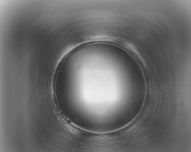 X0000067391328200604071743