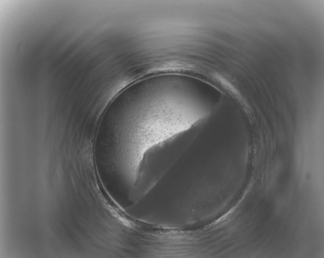 X0000067391329200604071743