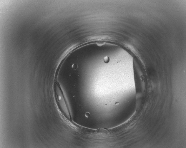 X0000067391330200604071743