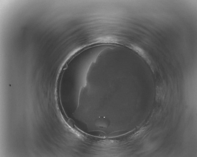 X0000067391331200604071743