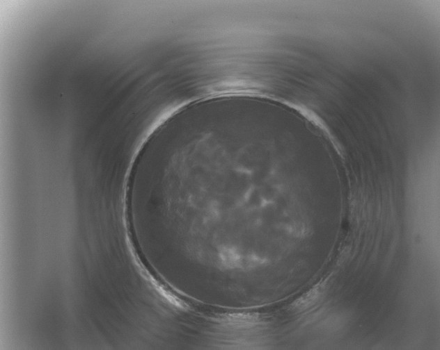 X0000067391333200604071743