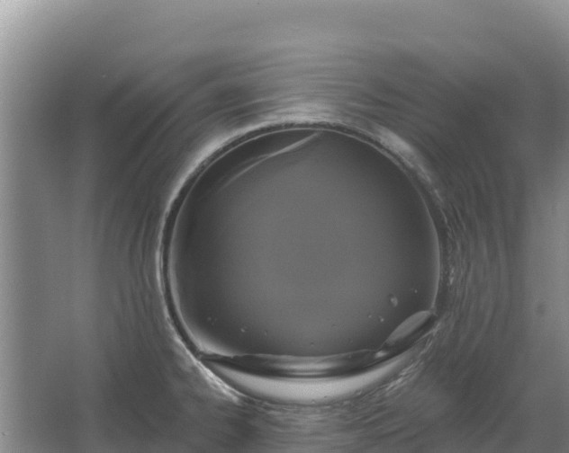 X0000067391334200604071743