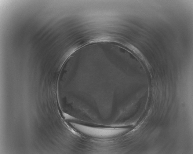 X0000067391337200604071744