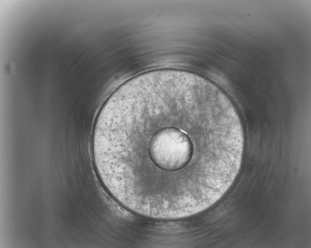 X0000067391338200604071744