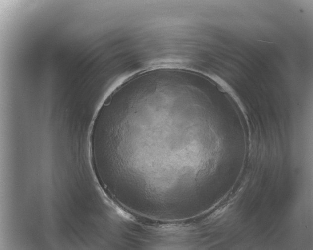 X0000067391341200604071744