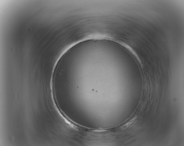 X0000067391343200604071744