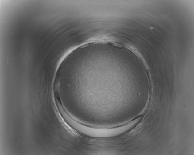 X0000067391344200604071744