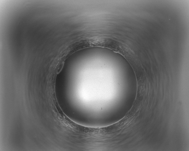 X0000067391345200604071743