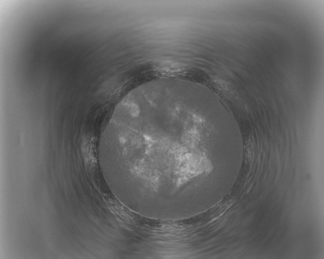 X0000067391346200604071743