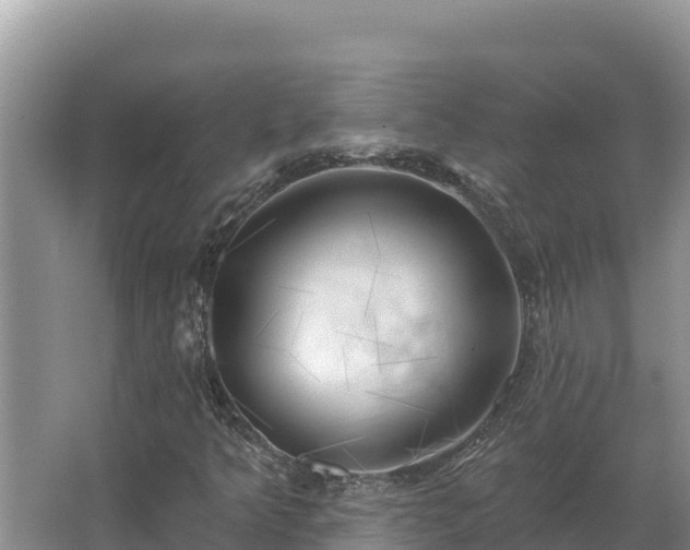 X0000067391349200604071743