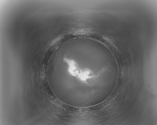 X0000067391350200604071743