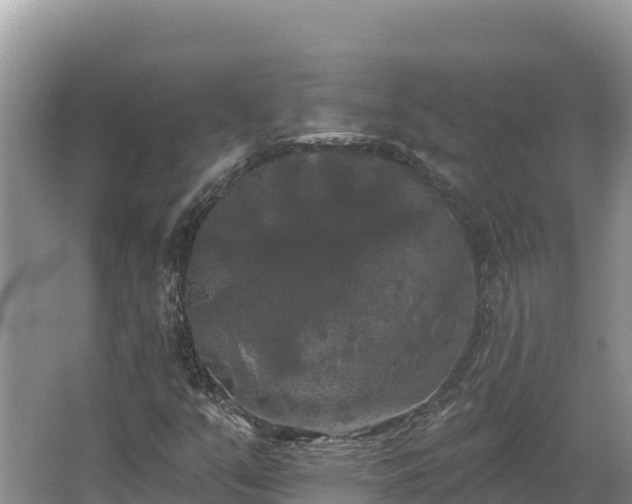 X0000067391351200604071743