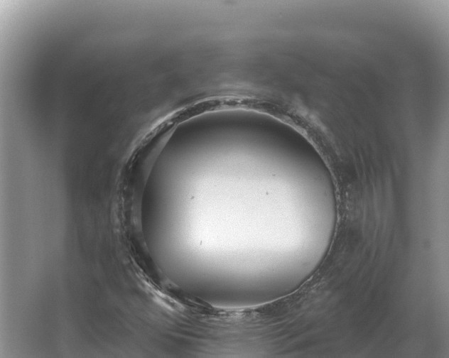 X0000067391352200604071743