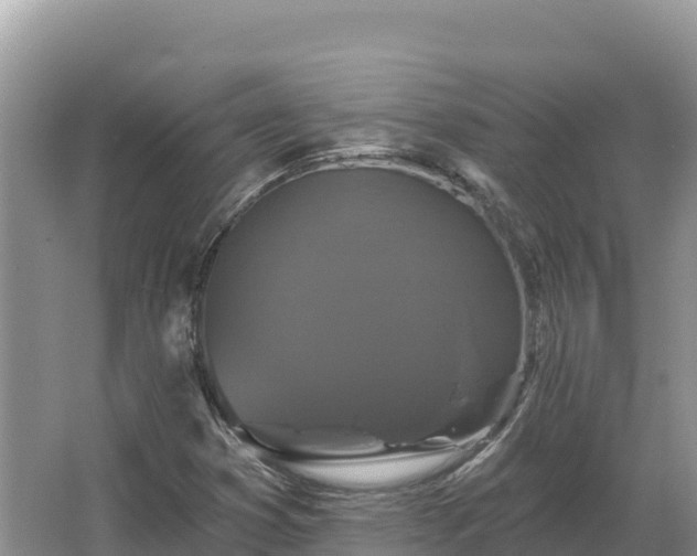 X0000067391353200604071743