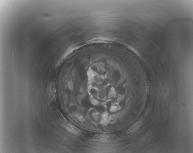 X0000067391355200604071743