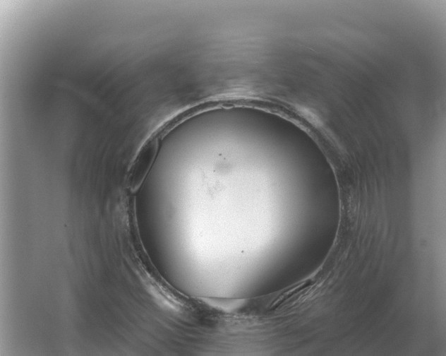 X0000067391356200604071743