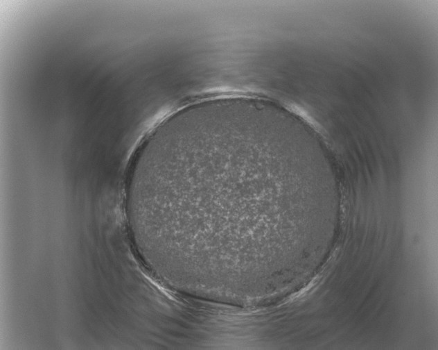 X0000067391357200604071743