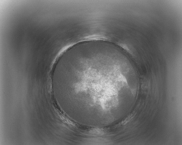 X0000067391358200604071743