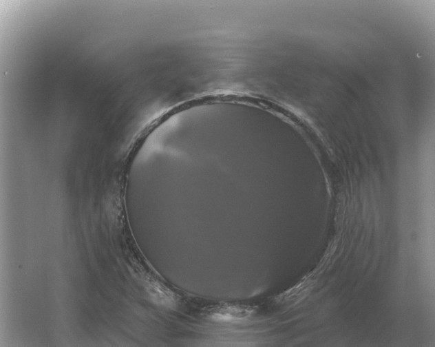 X0000067391359200604071743