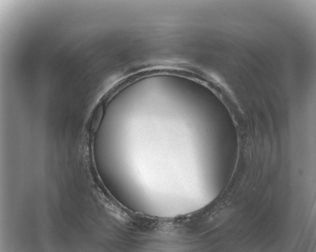 X0000067391360200604071743