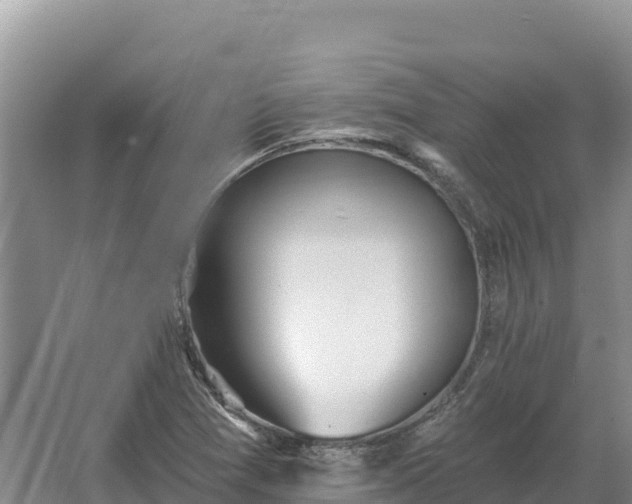 X0000067391361200604071743