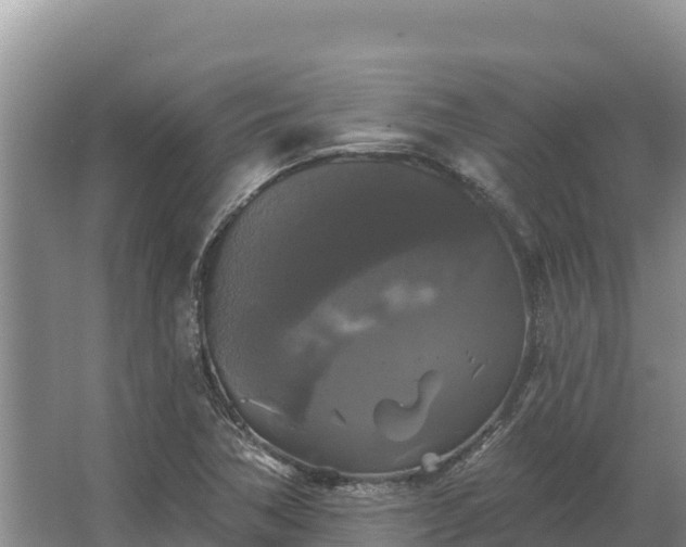 X0000067391362200604071743