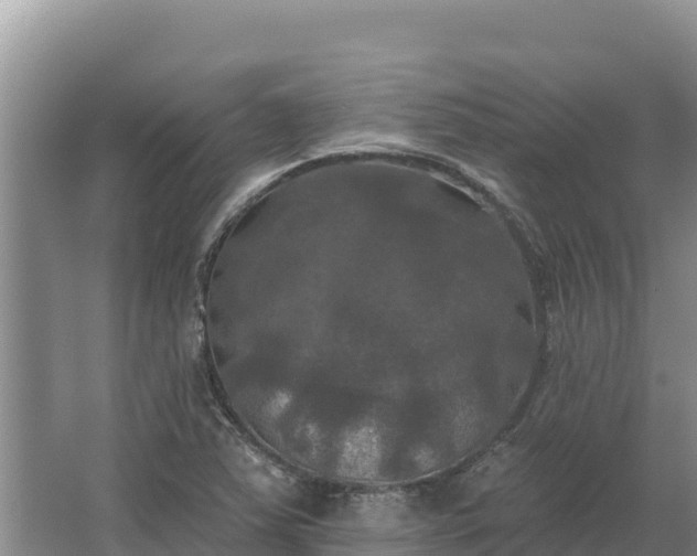 X0000067391363200604071743