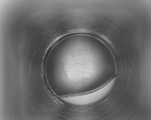 X0000067391364200604071742