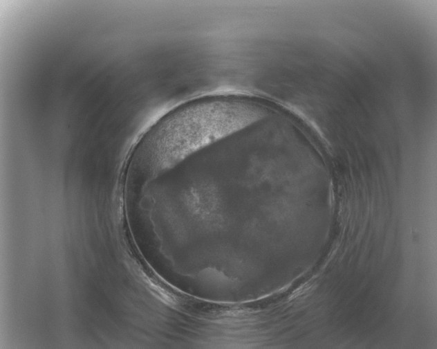 X0000067391367200604071742