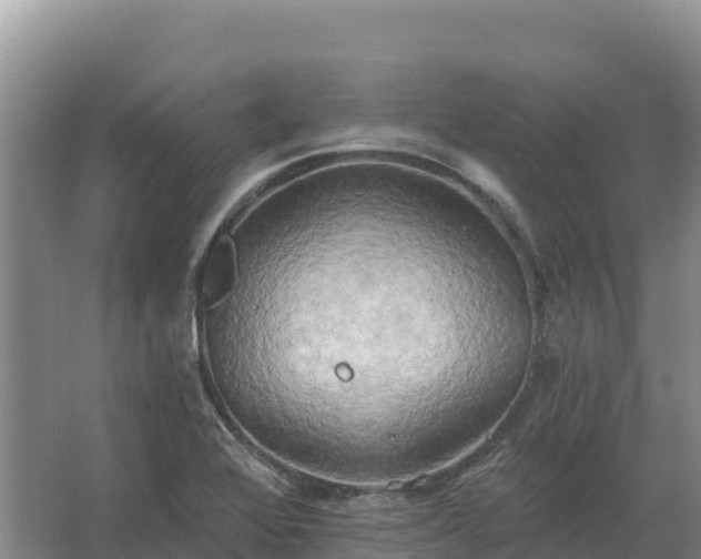 X0000067391368200604071742