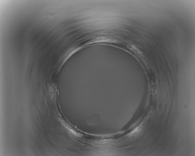 X0000067391369200604071742