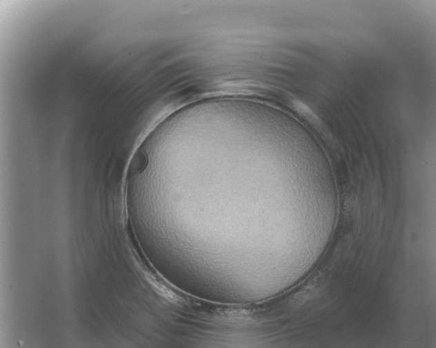 X0000067391370200604071742