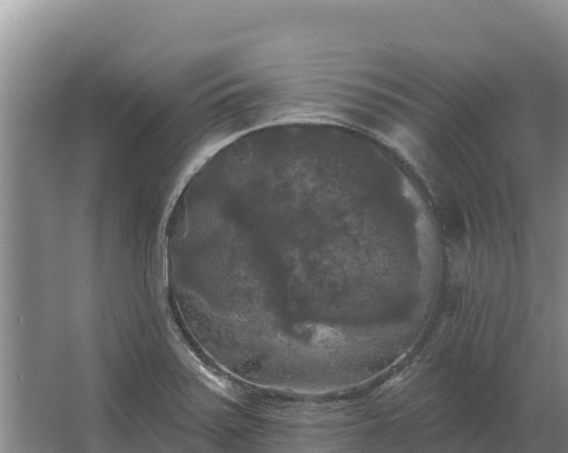 X0000067391371200604071742