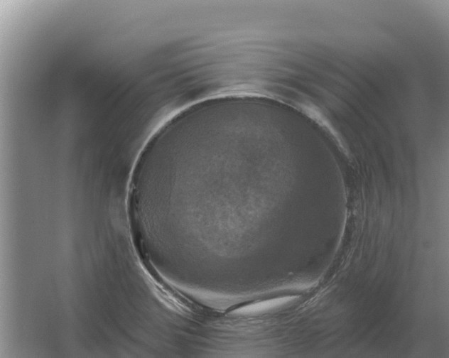 X0000067391372200604071742