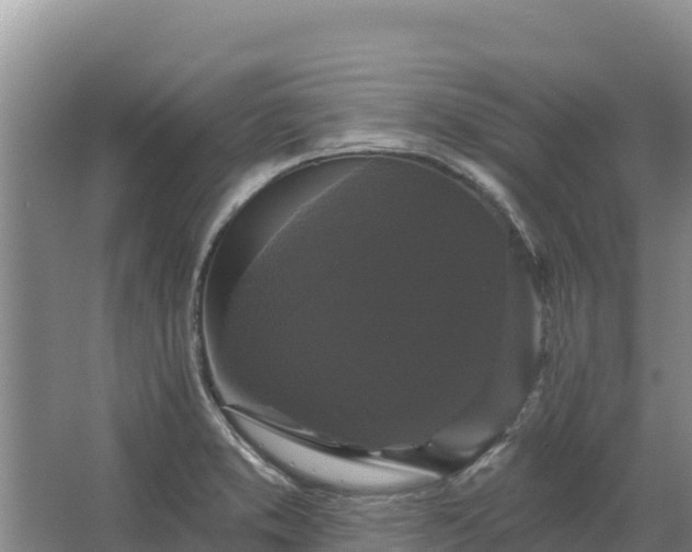 X0000067391373200604071742